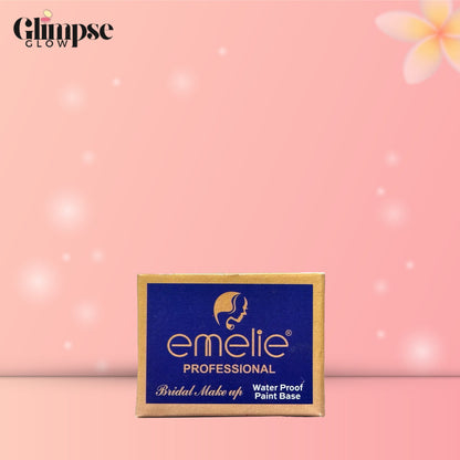 10 in 1  Prefect Makeup Deal