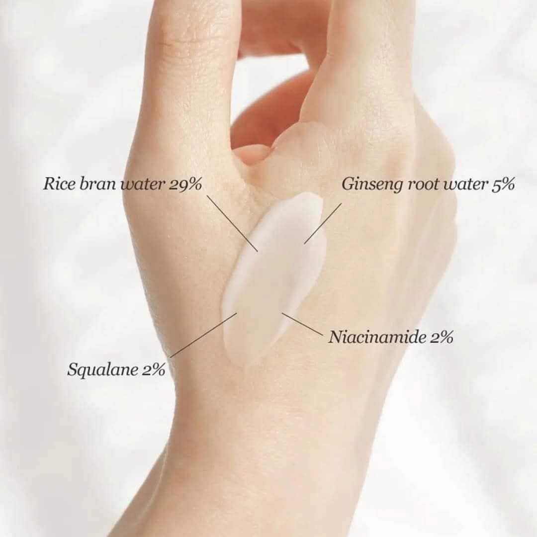 Beauty of Joseon - Dynasty Glow Cream | Nourishing Brightening Moisturizer
